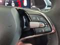 Skoda Superb Ambition TDI DSG Grau - thumbnail 22