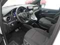Mercedes-Benz V 220 V220 d Edition lang AMG-Line LED Navi Kamera AHK Blanc - thumbnail 8
