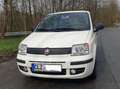 Fiat Panda 169 AXF1A 08 Weiß - thumbnail 4