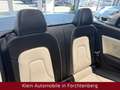 Audi A5 Cabrio 2.0TFSI Quattro S-Line Exclusive Xenon Silber - thumbnail 10