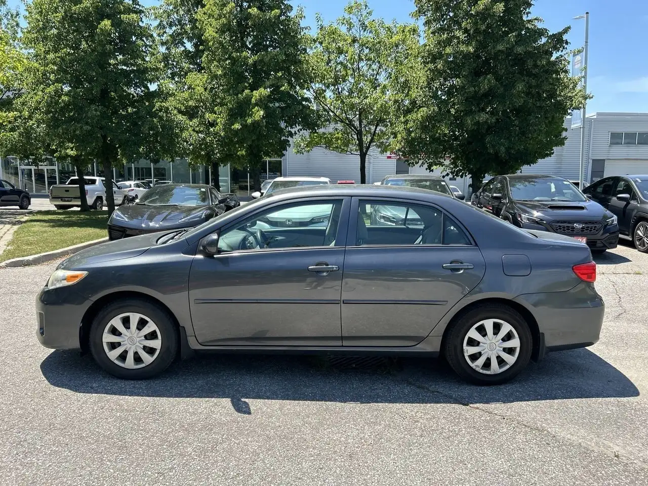 Toyota Corolla photo Toyota Corolla