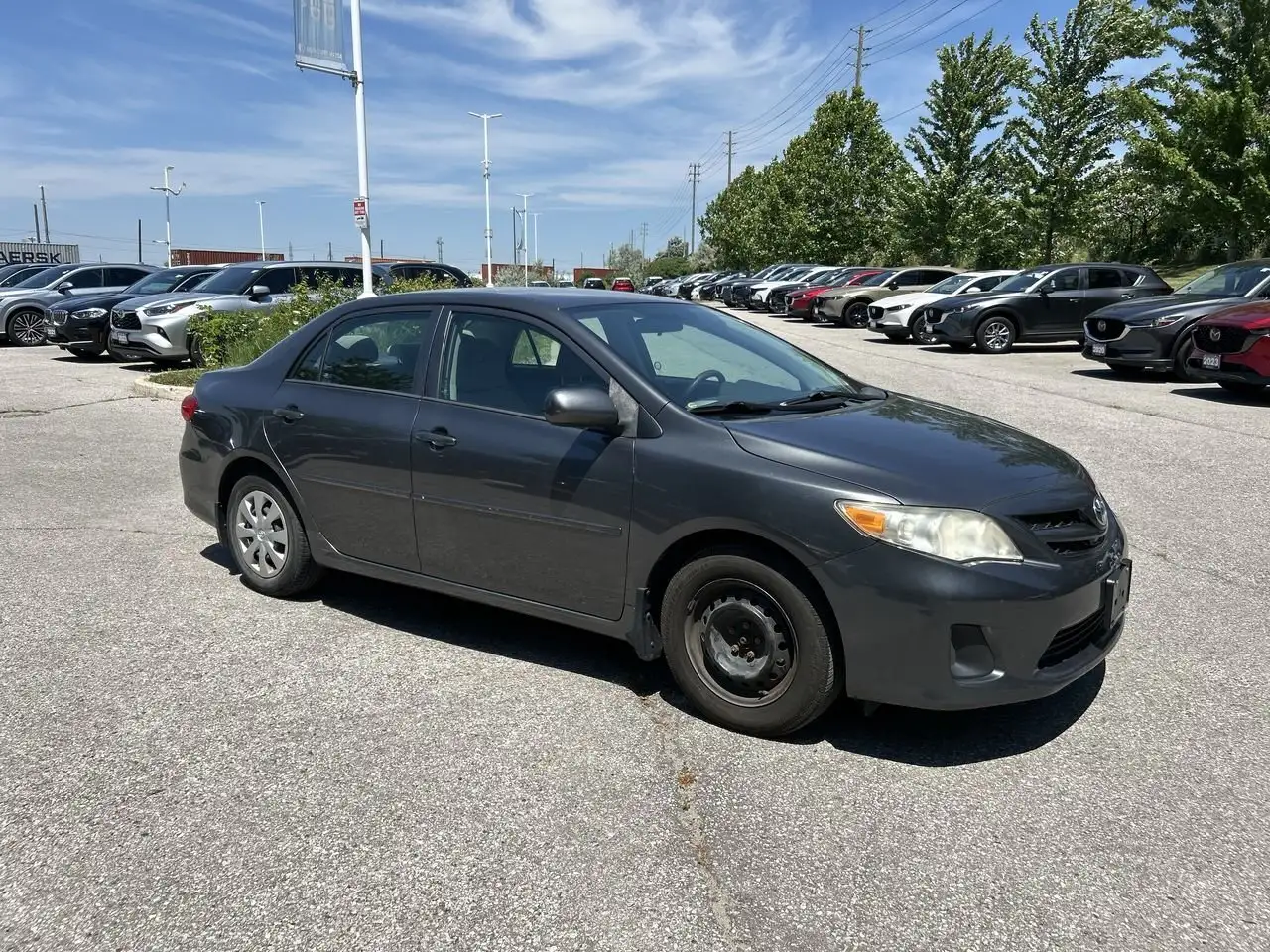 Toyota Corolla photo Toyota Corolla