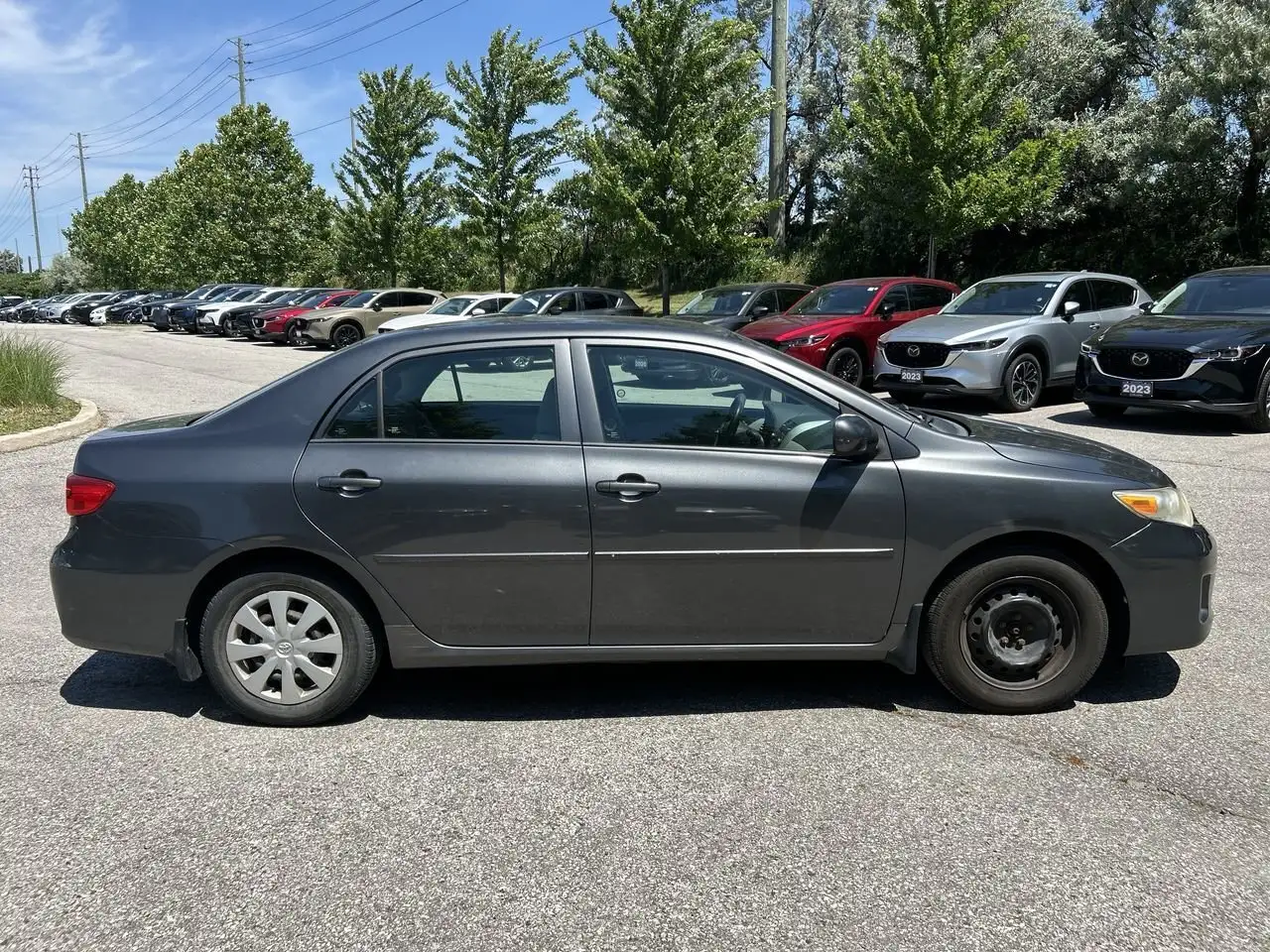 Toyota Corolla photo Toyota Corolla