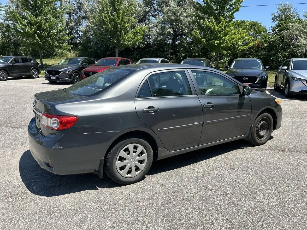 Toyota Corolla photo Toyota Corolla