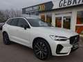 Volvo XC60 T6 R Design Plug-In AWD PANO HUD ACC Google Weiß - thumbnail 9