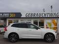 Volvo XC60 T6 R Design Plug-In AWD PANO HUD ACC Google Weiß - thumbnail 8
