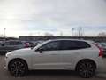 Volvo XC60 T6 R Design Plug-In AWD PANO HUD ACC Google Weiß - thumbnail 4