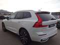 Volvo XC60 T6 R Design Plug-In AWD PANO HUD ACC Google Weiß - thumbnail 5