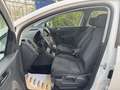 Volkswagen Golf Plus 1,2 TSI Comfortline Klima 4-Zylinder Pickerl NEU Weiß - thumbnail 8