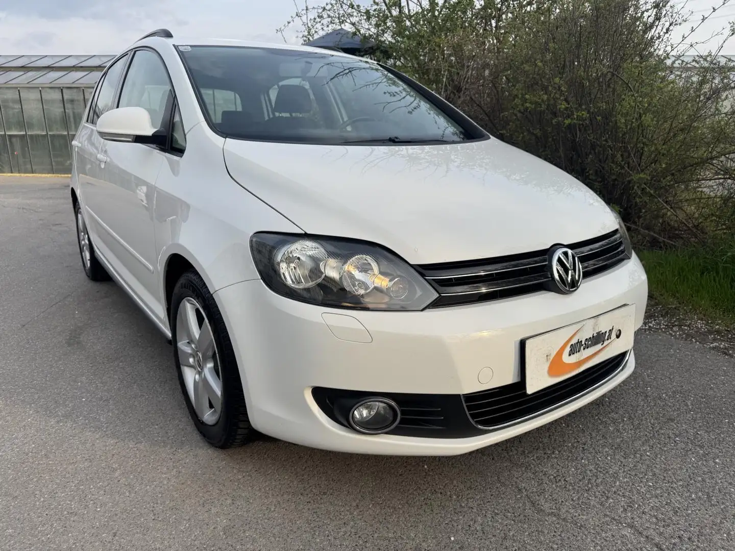 Volkswagen Golf Plus 1,2 TSI Comfortline Klima 4-Zylinder Pickerl NEU Weiß - 1