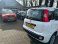 Fiat Panda 0.9 TwinAir Edizione Cool , automaat Wit - thumbnail 6