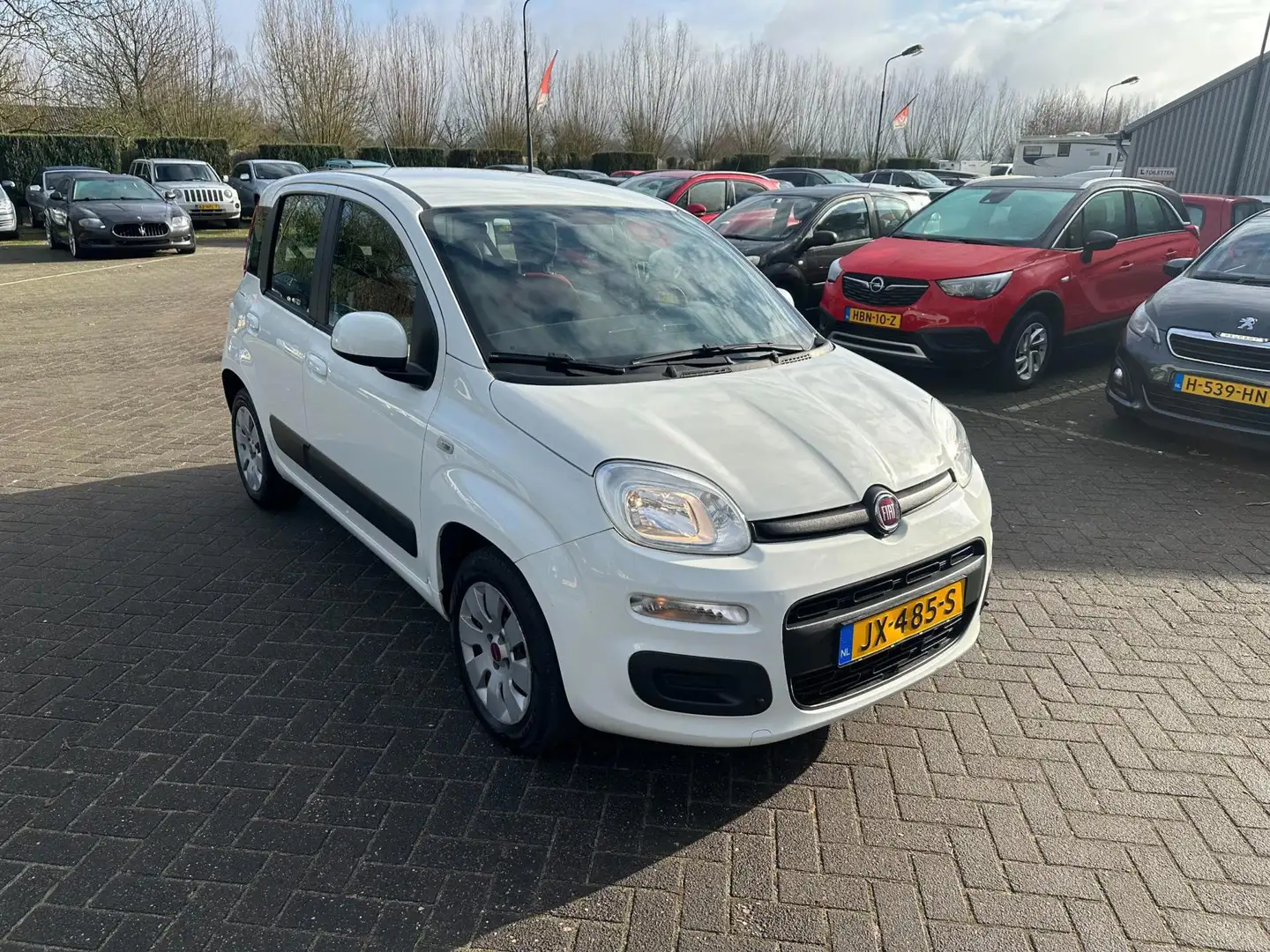 Fiat Panda 0.9 TwinAir Edizione Cool , automaat Wit - 2