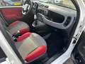 Fiat Panda 0.9 TwinAir Edizione Cool , automaat Wit - thumbnail 12