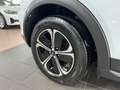 Kia XCeed Vision 1.6 Plug-in Hybrid Komfort+Navi Blanco - thumbnail 13
