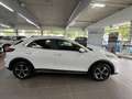 Kia XCeed Vision 1.6 Plug-in Hybrid Komfort+Navi Blanco - thumbnail 1