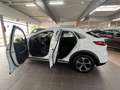 Kia XCeed Vision 1.6 Plug-in Hybrid Komfort+Navi Blanco - thumbnail 7