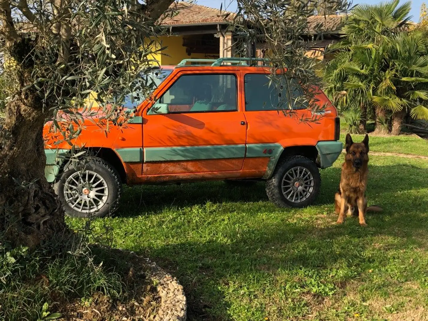 Fiat Panda 4 x 4 leggi 4 ruote, ruoteclassiche cgamotors.it Arancione - 2
