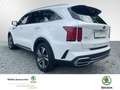 Kia Sorento 1.6 T-GDI Plug-In Hybrid Platinum 4WD (EUR Platinu Weiß - thumbnail 4