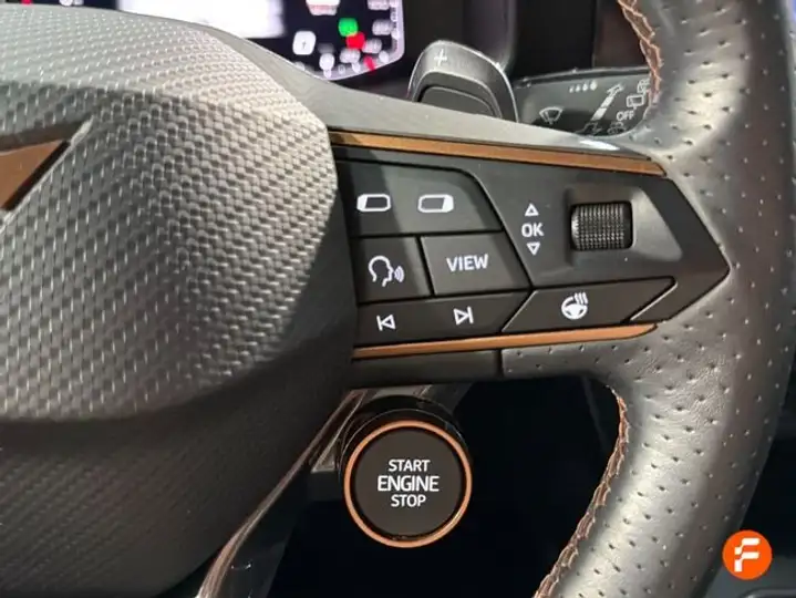 Cupra Formentor 2.0 TSI 4Drive DSG 2022, foto 10