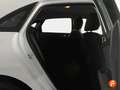 Kia Ceed / cee'd 1.0 T-GDi 88kW (120CV) Concept Blanco - thumbnail 12