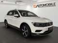Volkswagen Tiguan 2,0 TDI, Highline DSG l Kamera l Virtual l Weiß - thumbnail 2