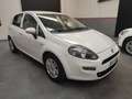 Fiat Punto Punto 5p 1.3 mjt Lounge Beyaz - thumbnail 4