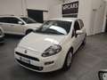 Fiat Punto Punto 5p 1.3 mjt Lounge White - thumbnail 1