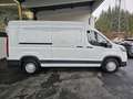 Maxus Deliver 9 Deliver 9 Kasten 2.0 D L3H2 FWD Weiß - thumbnail 6
