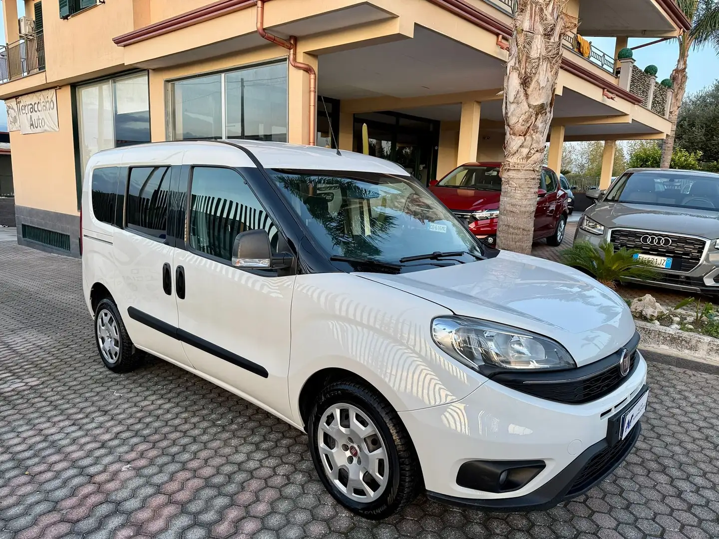 Fiat Doblo Doblo Lounge COMBI N1 1.6 mjt 16v 120cv Bianco - 2
