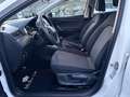 SEAT Ibiza Reference 1,6 TDI - ÖAMTC PICKERL NEU KEINE MÄN... Weiß - thumbnail 13