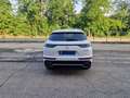 DS Automobiles DS 7 Crossback hdi Performance Line+ 180 auto Bianco - thumbnail 4