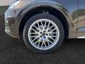 Audi Q5 40 TDI quattro S-tronic sport AHK/MMI+/Assist Maro - thumbnail 15