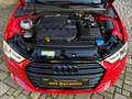 Audi A3 35 TDI S-tronic+Kamera+Navi+Keyless+Xenon+DAB+... Rouge - thumbnail 14
