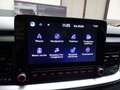 Kia Stonic 1.2 MPI Urban Grau - thumbnail 19