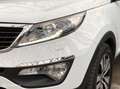 Kia Sportage 2.0 X-clusive / CAMERA / PANORAMA / TREKHAAK ! Blanc - thumbnail 46