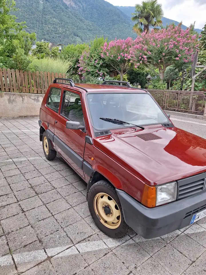 Fiat Panda Trekking 4x4, foto 2