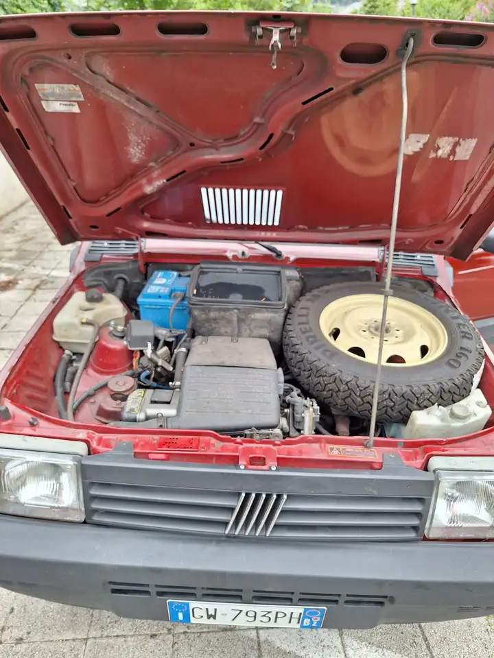 Fiat Panda Trekking 4x4, foto 3