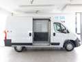 Citroen Citroen Jumper 35 2019 35 L2H2 2.2 140cv S&S Bianco - thumbnail 13