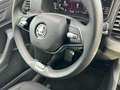 Skoda Karoq 1.5 TSI ACT DSG Drive 125 - thumbnail 9