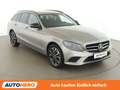 Mercedes-Benz C 220 C 220 d T 4Matic Avantgarde Aut. *MULTIBEAM*CAM* Grau - thumbnail 8