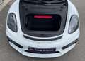 Porsche Boxster Spyder 3.8i - 1st Owner - 15.000 Km!!!! Wit - thumbnail 18