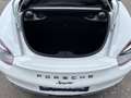 Porsche Boxster Spyder 3.8i - 1st Owner - 15.000 Km!!!! Wit - thumbnail 19