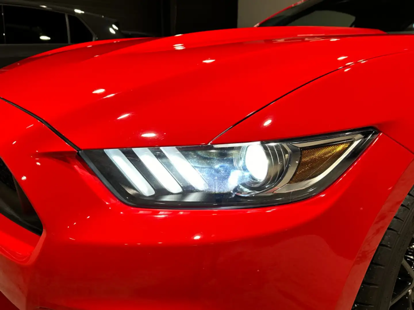 Ford Mustang 5.0 V8 421CH GT MALUS COMPRIS - 2