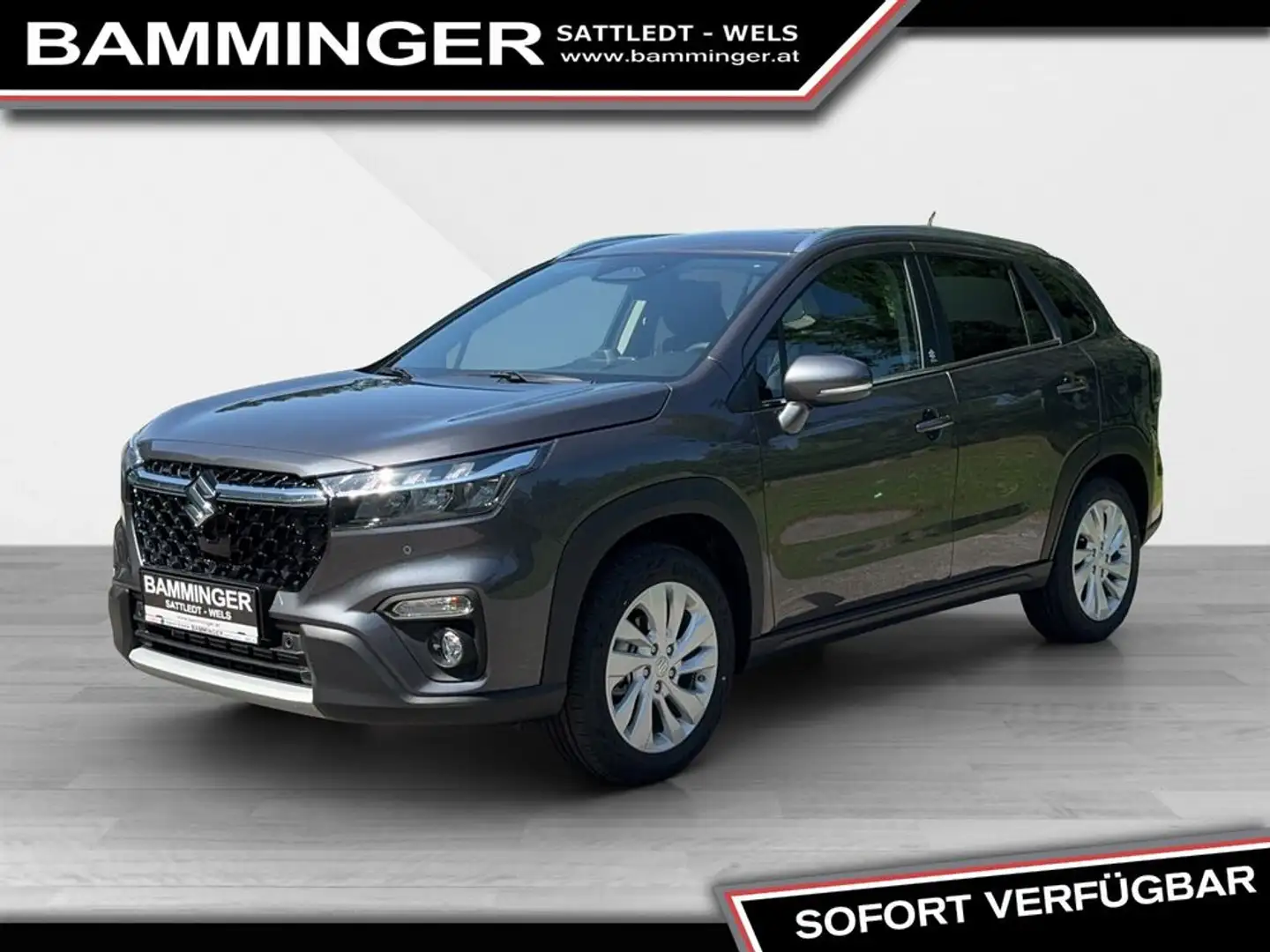 Suzuki S-Cross 1,5 Hybrid 2WD 6AGS shine *SnowFox* Gris - 2