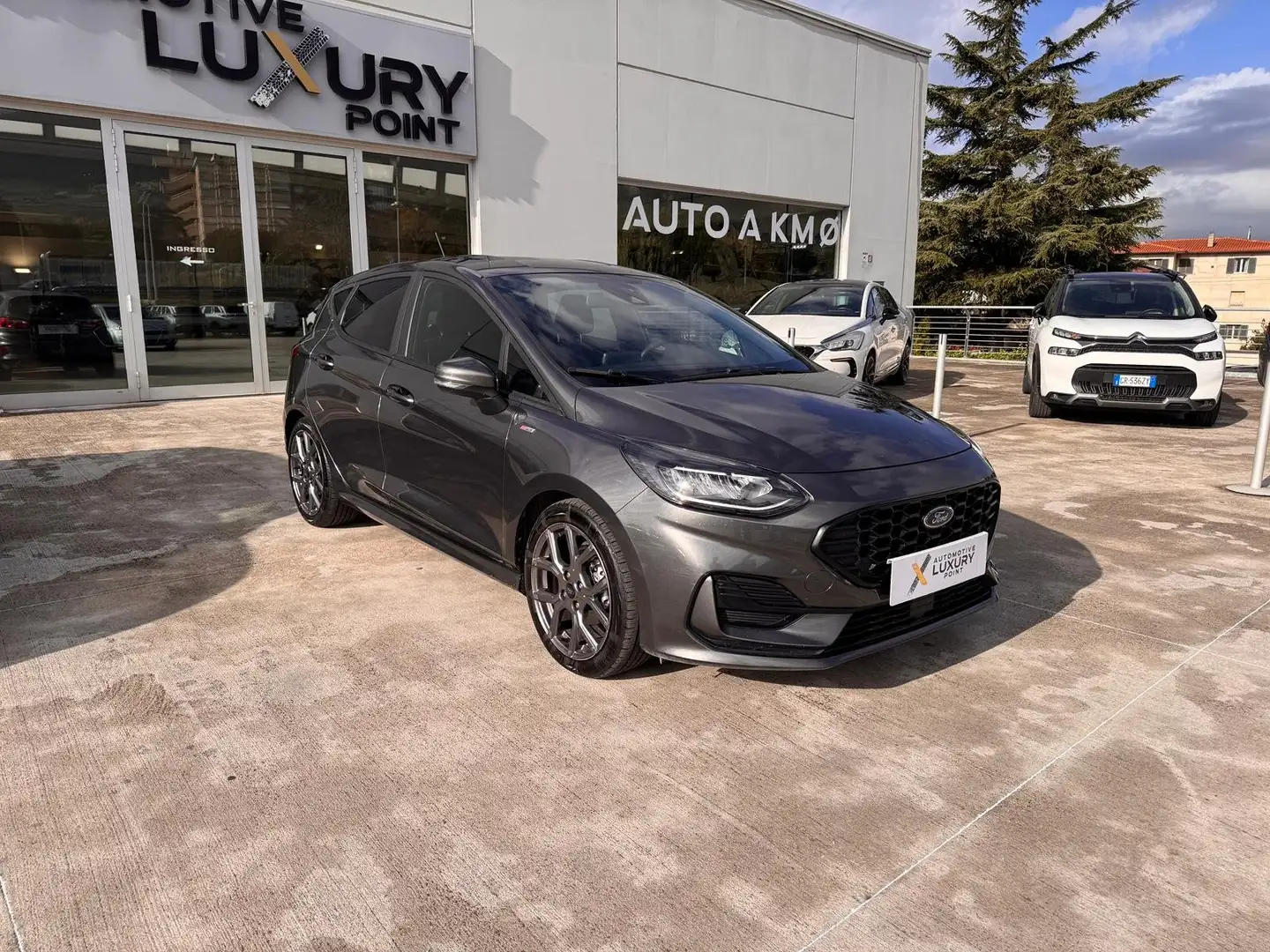 Ford Fiesta Fiesta VII 2022 5p 5p 1.0 ecoboost h ST-Line 125cv Grigio - 2