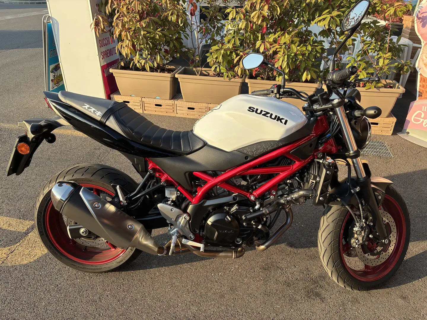 Suzuki SV 650 - 1