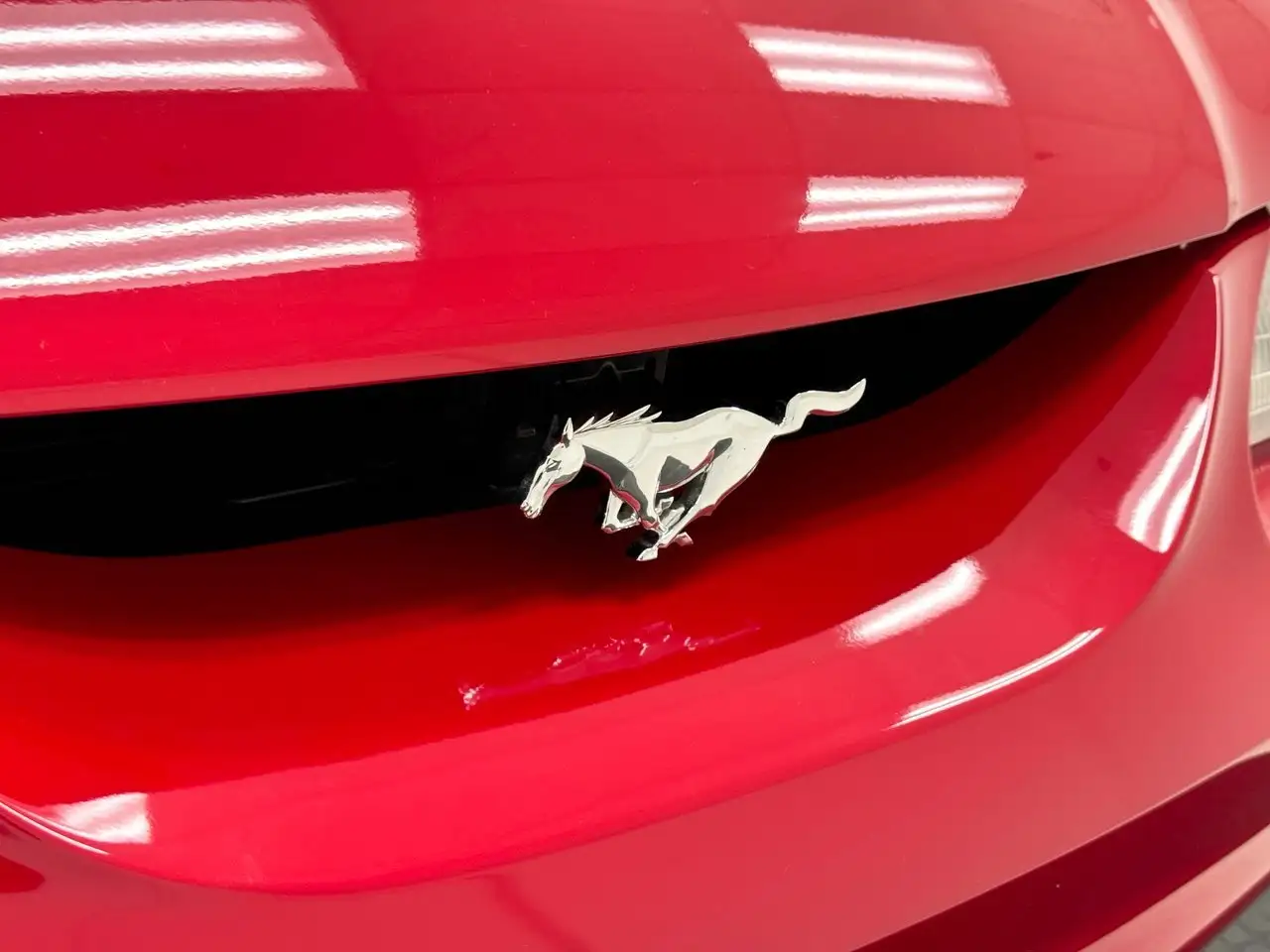 Ford Mustang Cobra Convertible Pace Car, foto 12