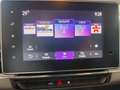 Renault Kangoo E-TECH 45 kwh-autonomia 300 km-prezzo + iva White - thumbnail 30