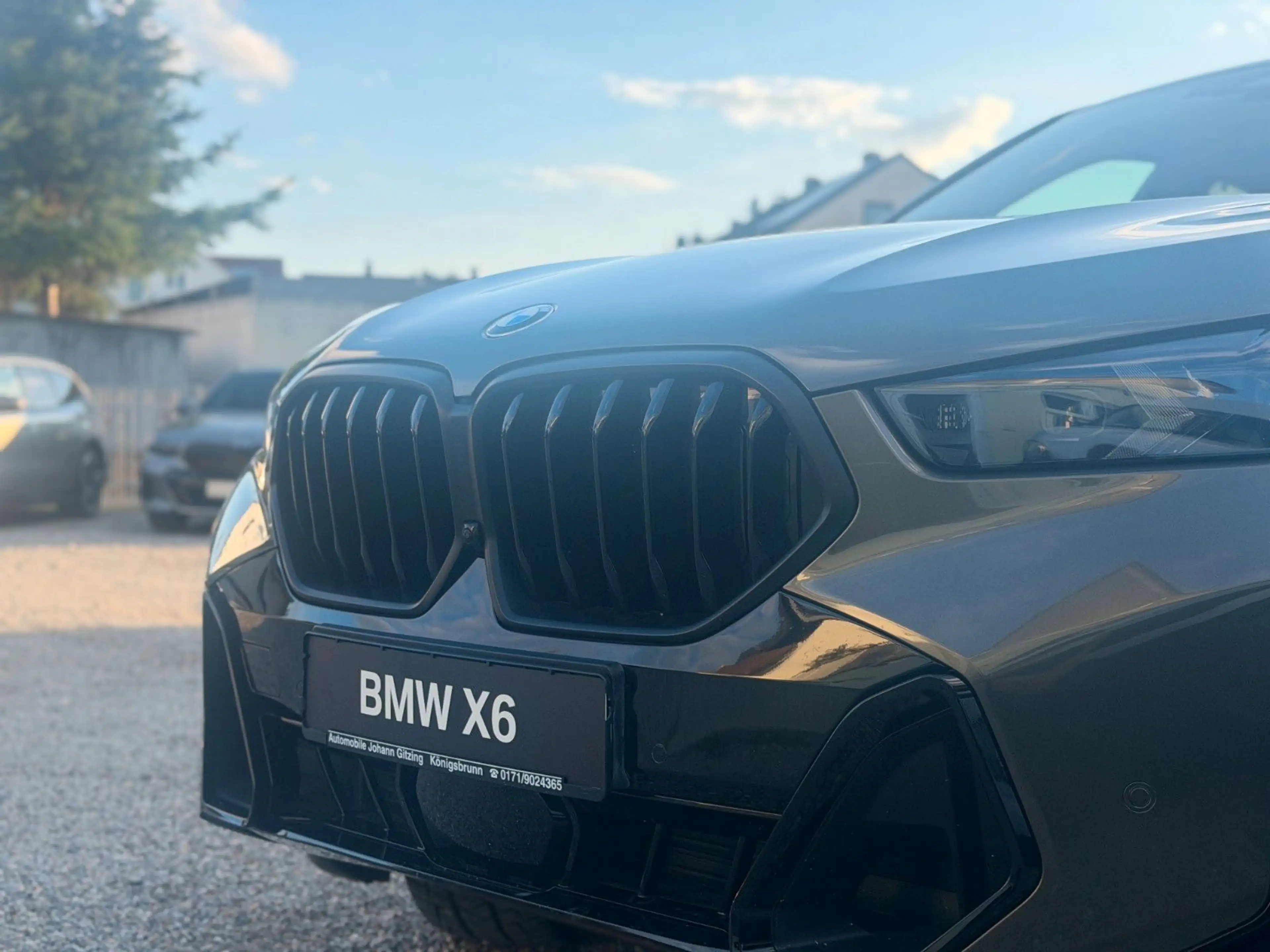 BMW X6 40i xDrive M Sport Pro Iconic Pano H&K AHK 22 — photo 8
