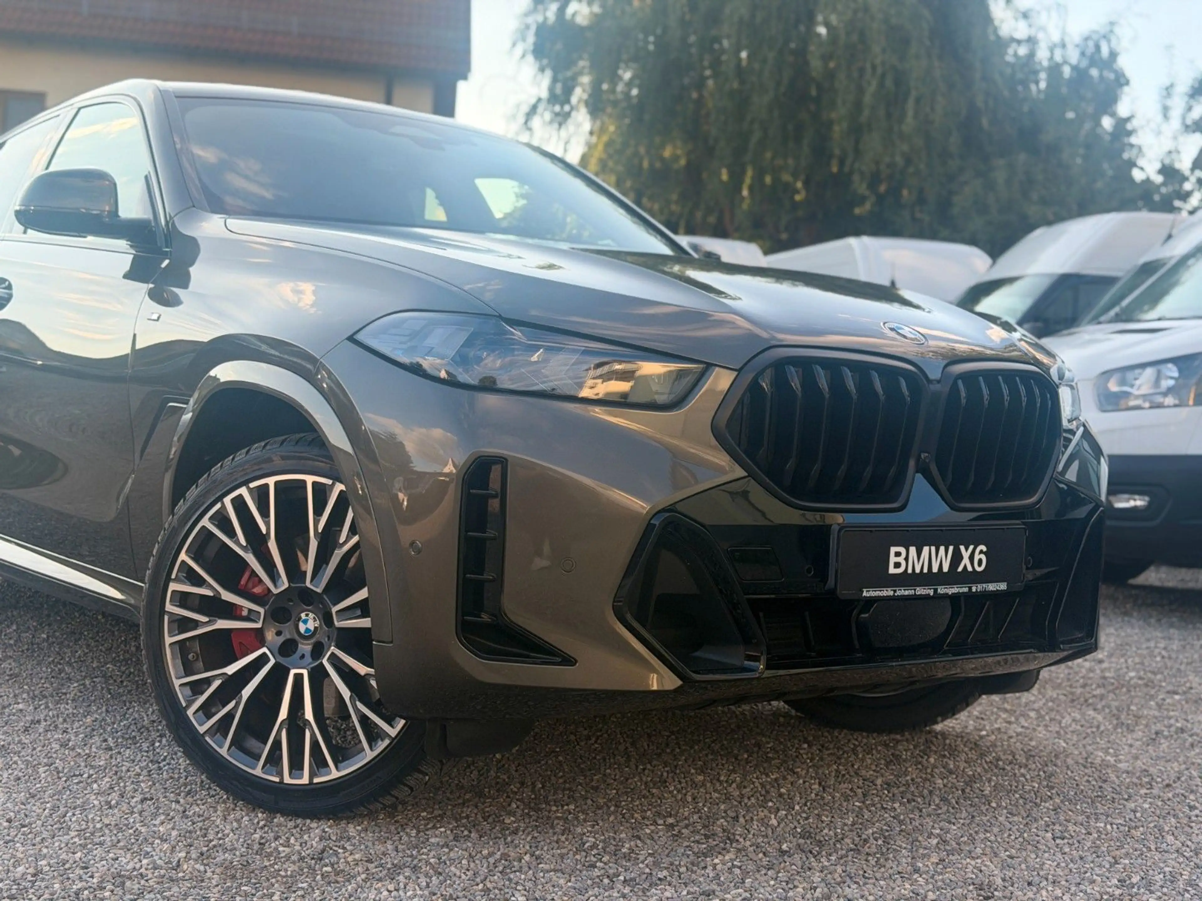 BMW X6 40i xDrive M Sport Pro Iconic Pano H&K AHK 22 — photo 5